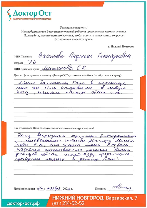 3_Васильева Л.Г._02.11.2022г..jpg